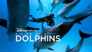 Diving with Dolphins's poster