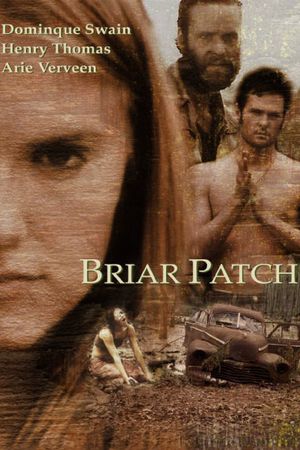 Briar Patch's poster