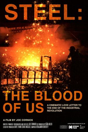 Steel: The Blood of Us's poster image