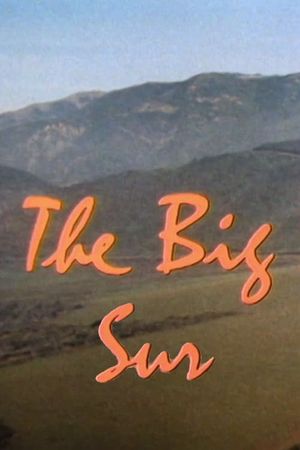 The Big Sur's poster
