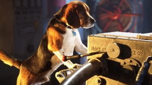 Cats & Dogs's poster