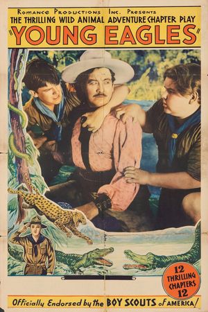 Young Eagles's poster