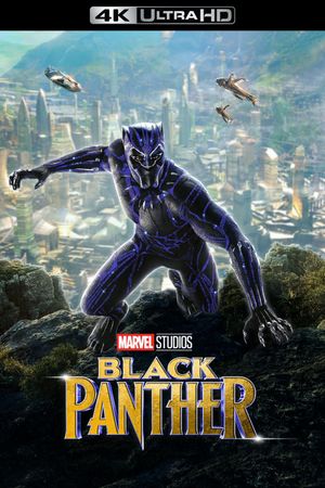 Black Panther's poster