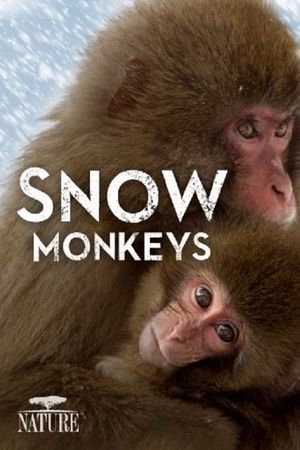 Wild Japan: Snow Monkeys's poster