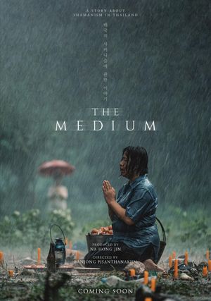 The Medium's poster