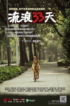 流浪33天's poster