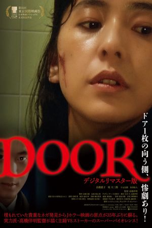 Door's poster