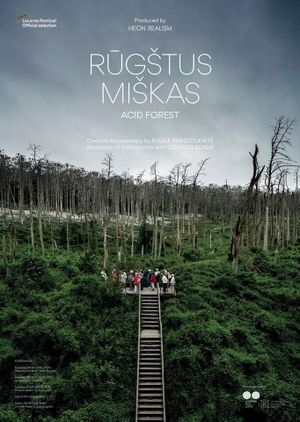 Acid Forest's poster