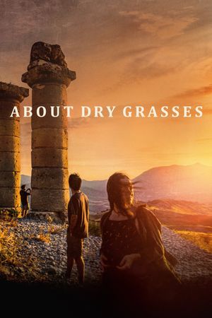 About Dry Grasses's poster