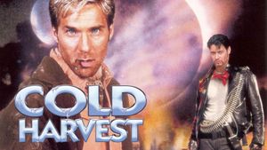 Cold Harvest's poster