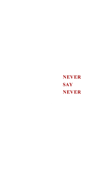 Never Say Never's poster