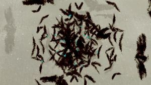 Transfer's poster