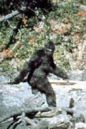 Patterson–Gimlin film's poster