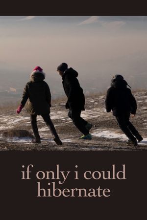 If Only I Could Hibernate's poster