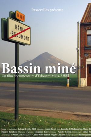 Bassin miné's poster