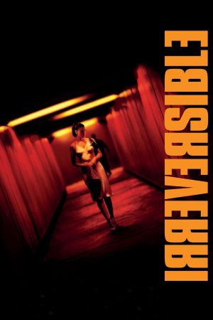 Irreversible's poster