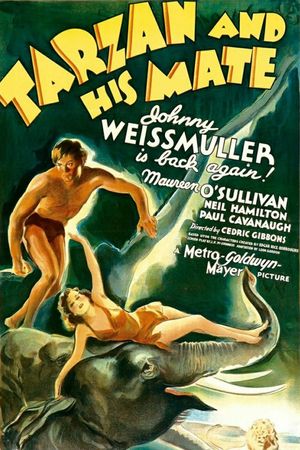 Tarzan and His Mate's poster