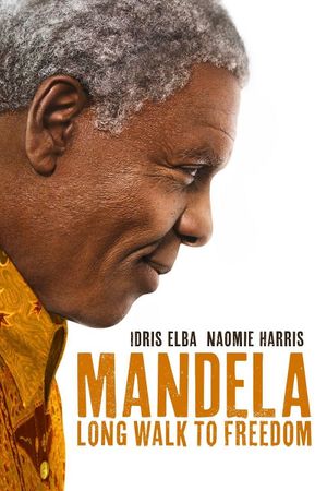 Mandela: Long Walk to Freedom's poster