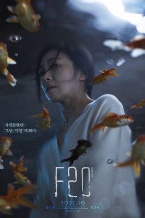 F20's poster