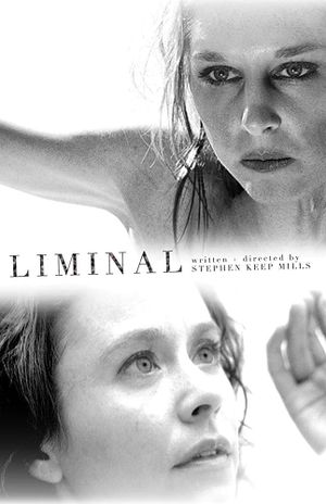 Liminal's poster