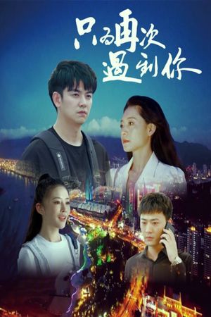 只为再次遇到你's poster image