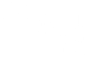 Feeling from Mountain and Water's poster