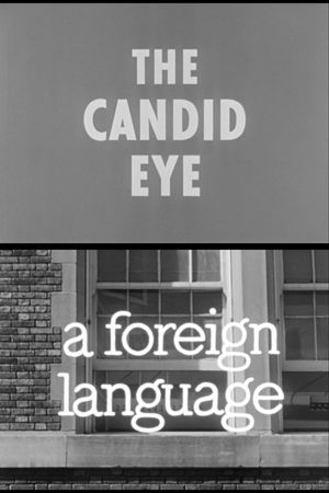 A Foreign Language's poster