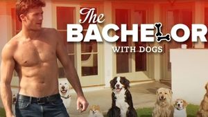 The Bachelor with Dogs and Scott Eastwood's poster