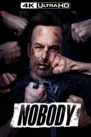 Nobody's poster