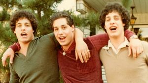 Three Identical Strangers's poster