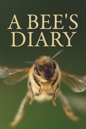 A Bee's Diary's poster