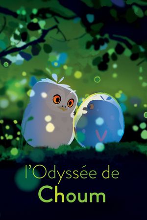 Shooom's Odyssey's poster