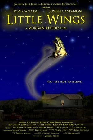 Little Wings's poster