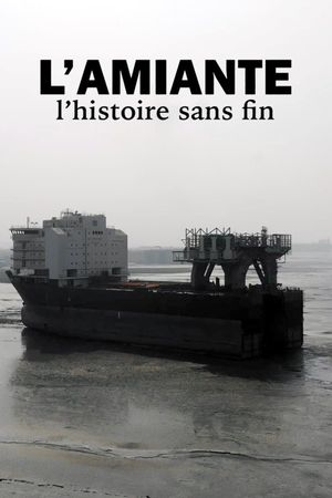 L’amiante, l’histoire sans fin's poster