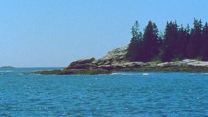 The Seashore's poster