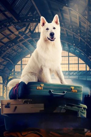 The Dog Who Travelled by Train's poster