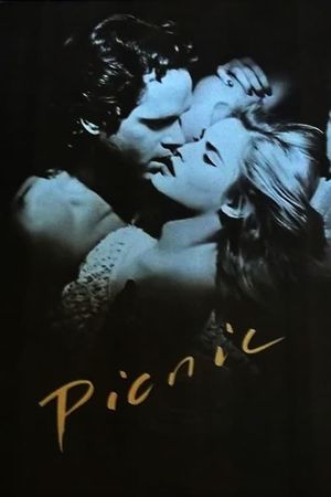 Picnic's poster