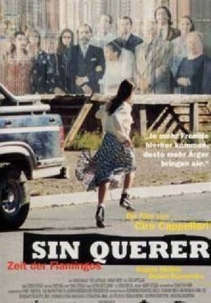 Sin querer's poster image