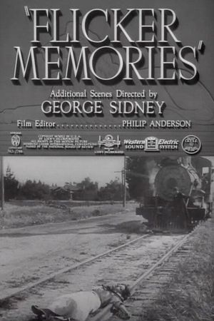 Flicker Memories's poster