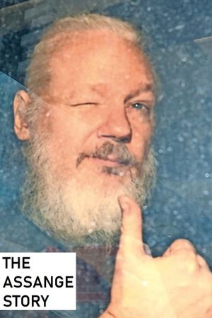 The Assange Story's poster