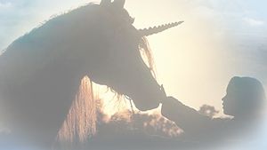 The Little Unicorn's poster