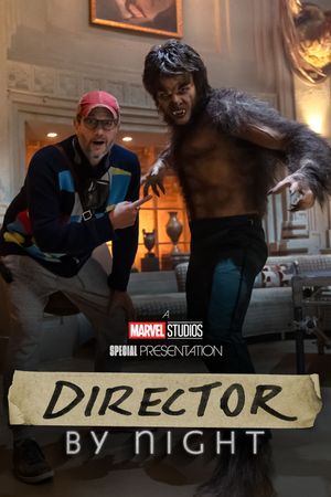 Director by Night's poster