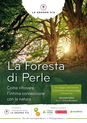 La foresta di perle's poster