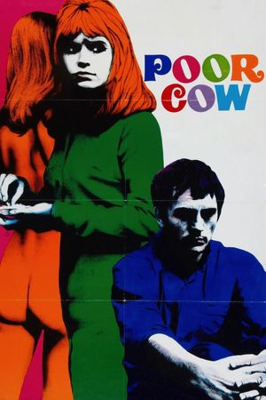 Poor Cow's poster