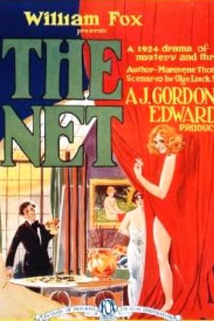 The Net's poster
