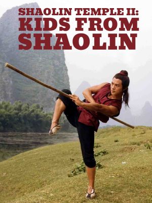 Kids from Shaolin's poster