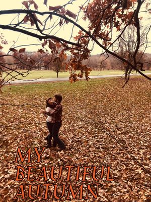 My Beautiful Autumn's poster