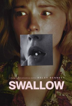 Swallow's poster