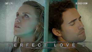 Perfect Love 2's poster