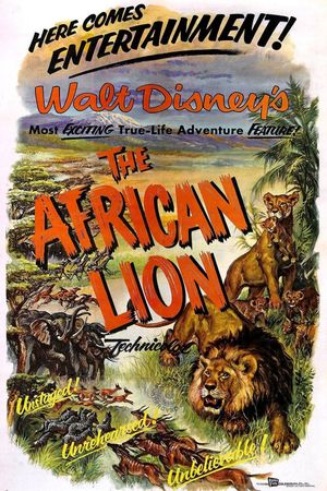 The African Lion's poster